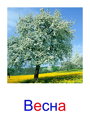 Карточки Домана явления природы