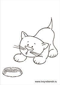 Раскраска кот