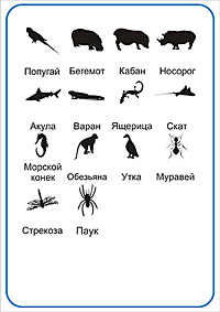 Угадай животное - ответы