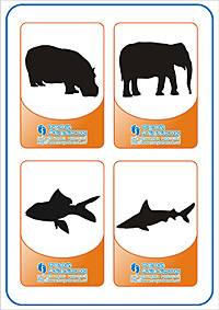 Угадай животное - бегемот, слон, рыба, акула