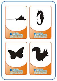 Угадай животное - скат, морской конек, бабочка, белка