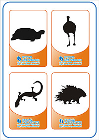 Угадай животное - черепаха, страус, ящерица, дикобраз