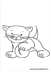 Раскраска котенок