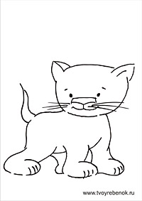 Раскраска котик