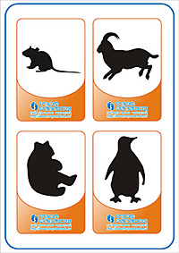 Угадай животное - мышь, гоный баран, медведь, пингвин