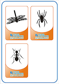 Угадай животное - стрекоза, паук, муравей