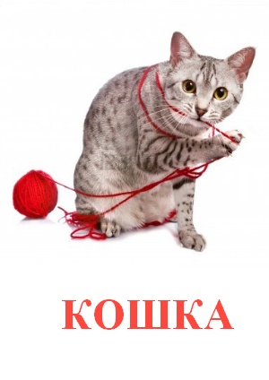 Карточки Домана домашние животные