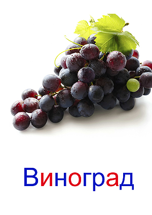 Карточки фрукты ягоды для детей