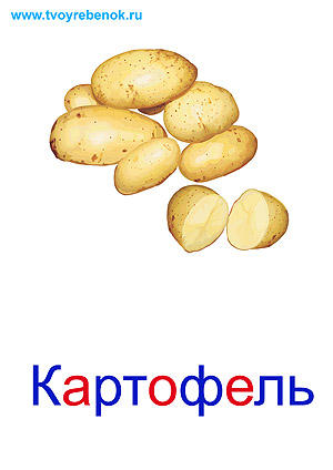 Овощи карточки для детей