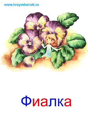 Карточки цветы для детей