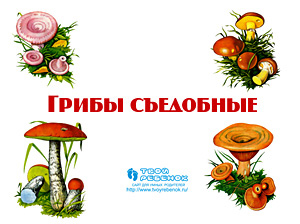 Презентации детям