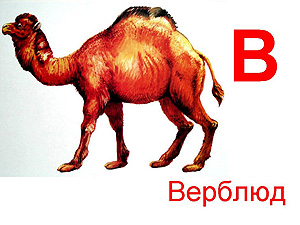 Детская презентация