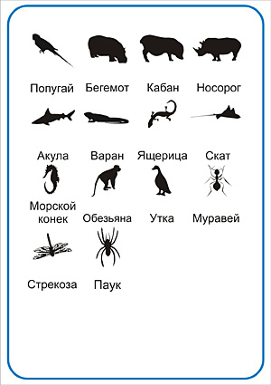 Угадай животное - ответы