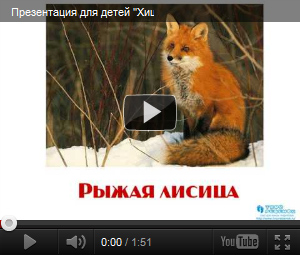 Видеопрезентация Хищные животные
