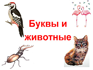 Презентация буквы