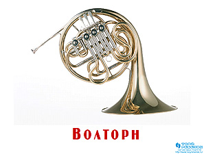 Презентация музыкальные инструменты
