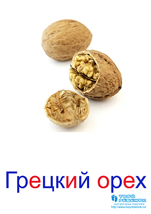 Развивающие карточки для детей