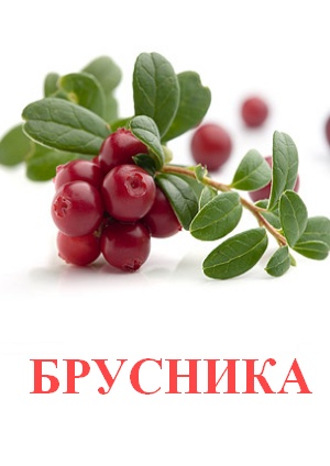 Карточки Домана ягоды