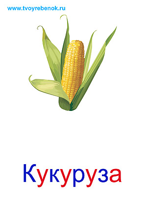 Овощи карточки для детей
