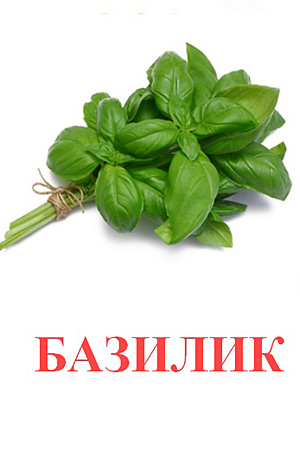 Карточки Домана овощи