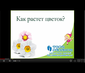 Видеопрезентация Как растет цветок