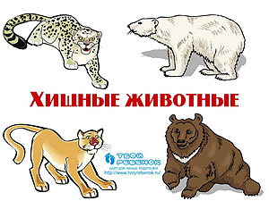 Презентация на тему Животные