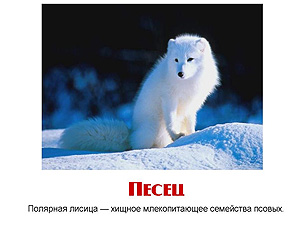 Презентации детям