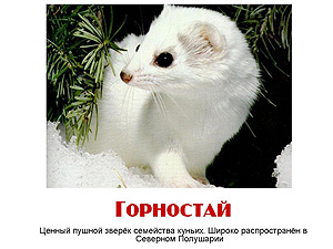 Детская презентация