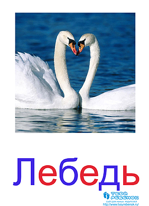Развивающие карточки для детей