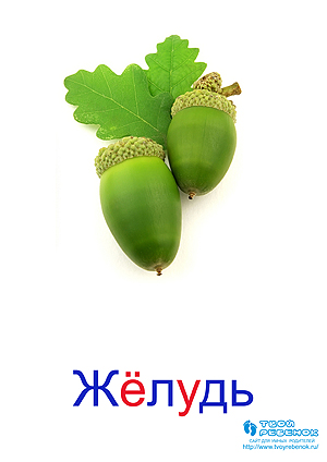 Развивающие карточки для детей
