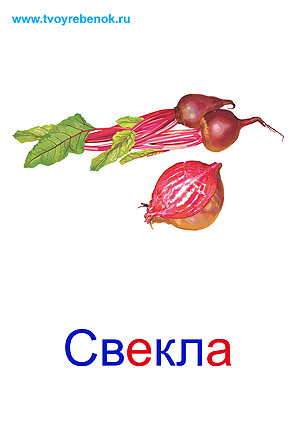 Овощи карточки для детей