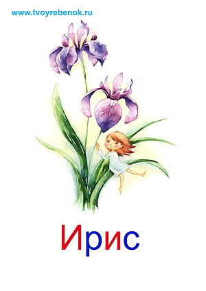 Карточки цветы для детей