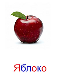 Фрукты и ягоды