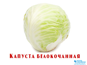 Презентация для детей Овощи