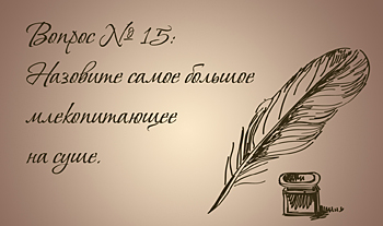 Самое большое млекопитающее на суше