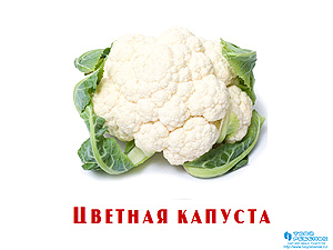 Овощи