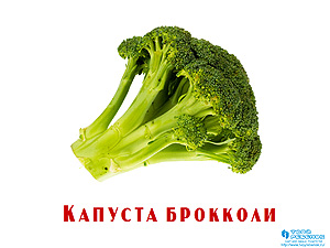 Детская презентация