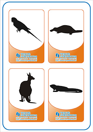 Угадай животное - попугай, утконос, кенгуру, варан