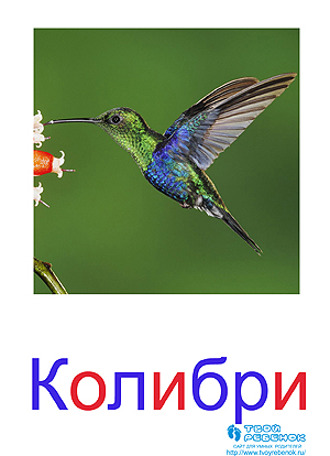 Развивающие карточки для детей