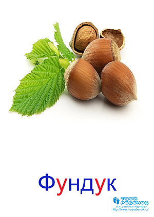 Развивающие карточки для детей