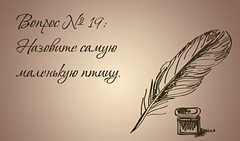 Самая маленькая птица в мире