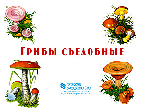 Презентация Грибы