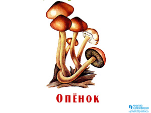 Детская презентация