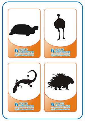 Угадай животное - черепаха, страус, ящерица, дикобраз