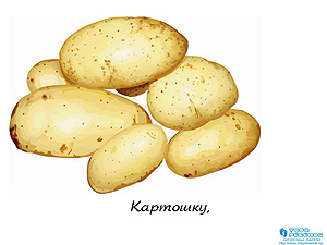 Овощи