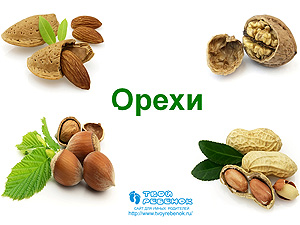 Презентация Орехи