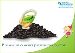 Как растет цветок