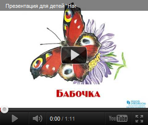 Видеопрезентация Насекомые