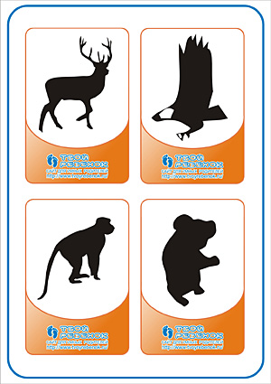 Угадай животное - олень, орел, обезьяна, коала