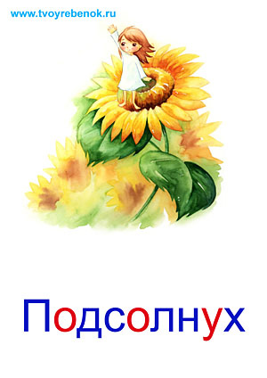 Карточки Домана